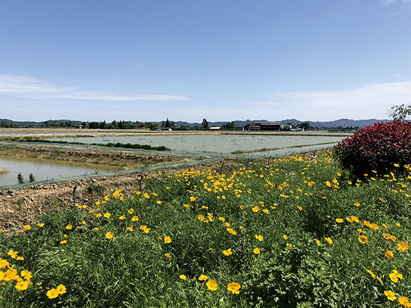 四川成都（新都）