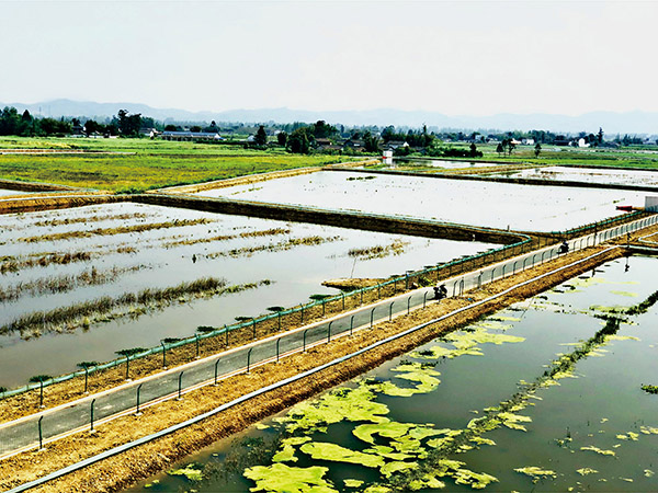 四川成都（新津）