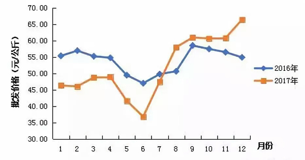 1531207098679428.jpg