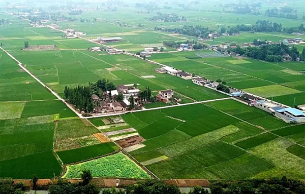 1564106394305657.jpg