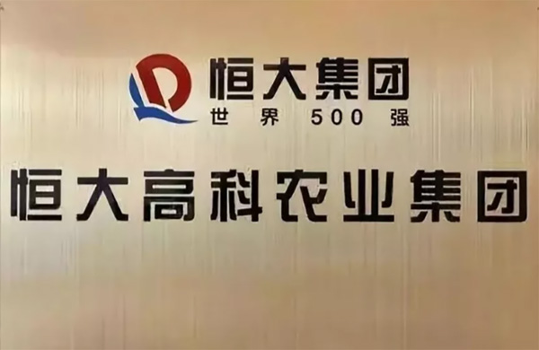 1565068313441424.jpg