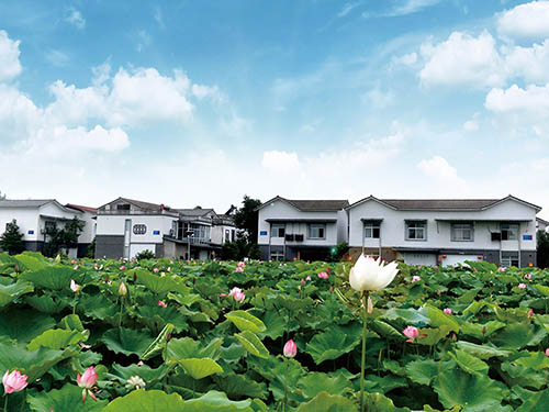 四川成都（崇州）